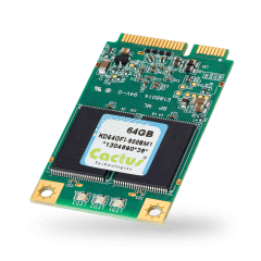 SSD накопитель Cactus Technologies mSATA 900S series
